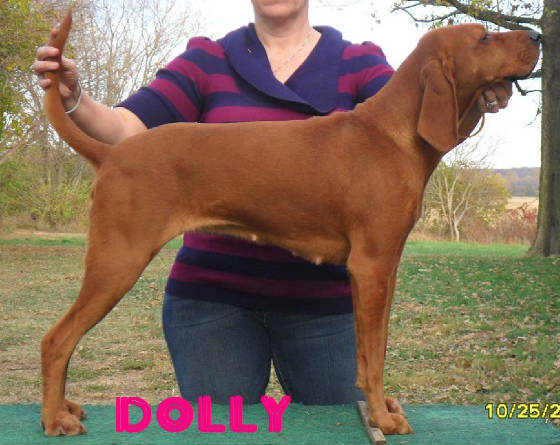 dolly102510.jpg